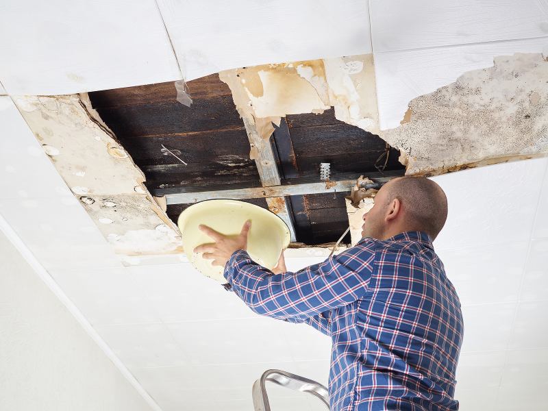 How to Fix My Business After Water Damage