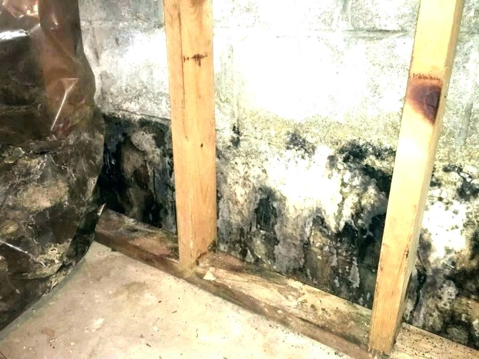 Foul Basement Smells?