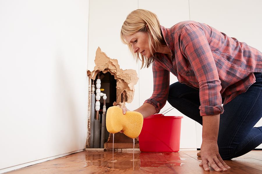 Water Damage Restoration in Alpharetta, GA